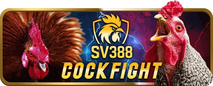 Phân tích cá cược thể thao 8live casino