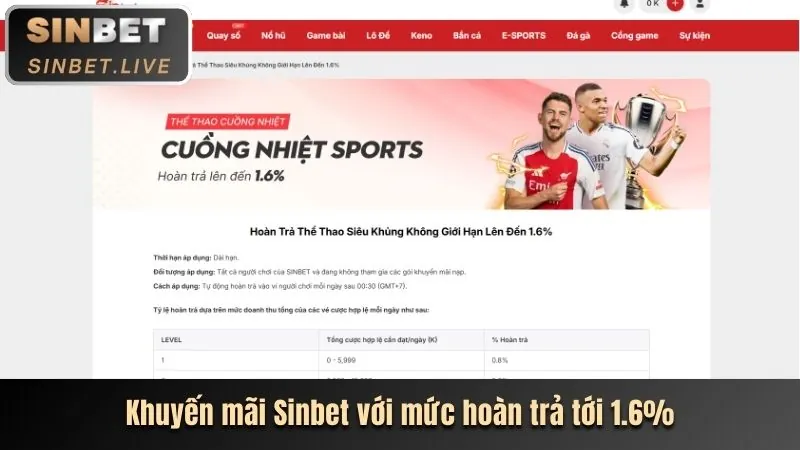 Hoàn trả thể thao và casino 8live casino